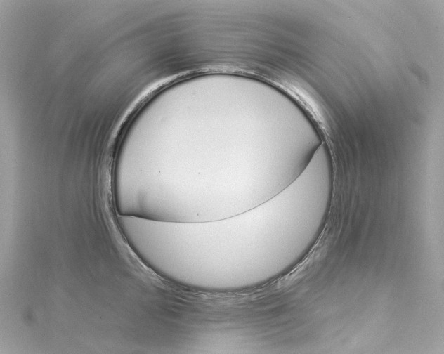 X0000115221000200911181545