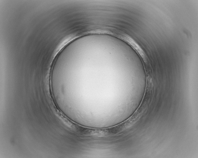 X0000115221002200911181545