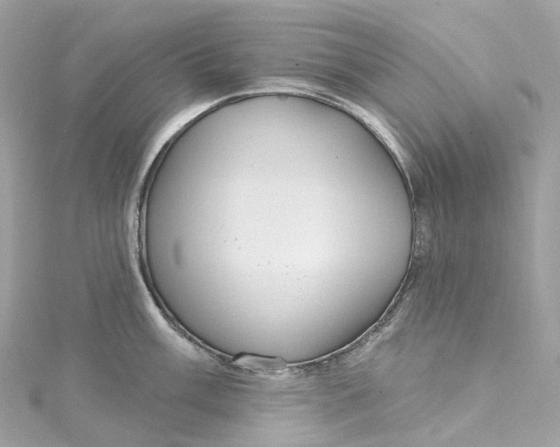 X0000115221003200911181545