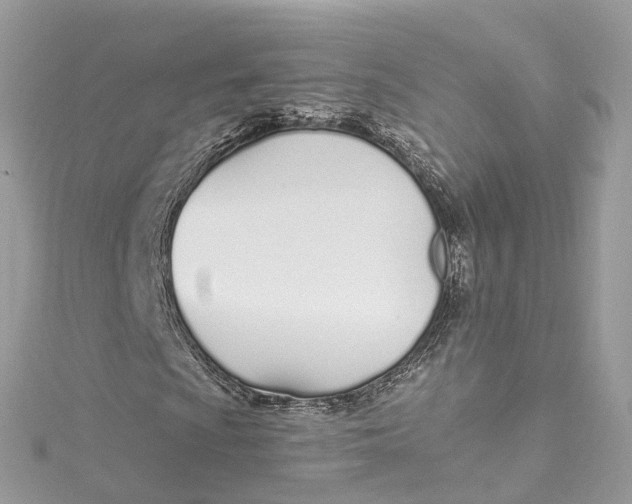 X0000115221009200911181544