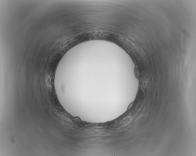 X0000115221010200911181544