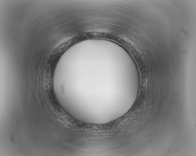 X0000115221014200911181544
