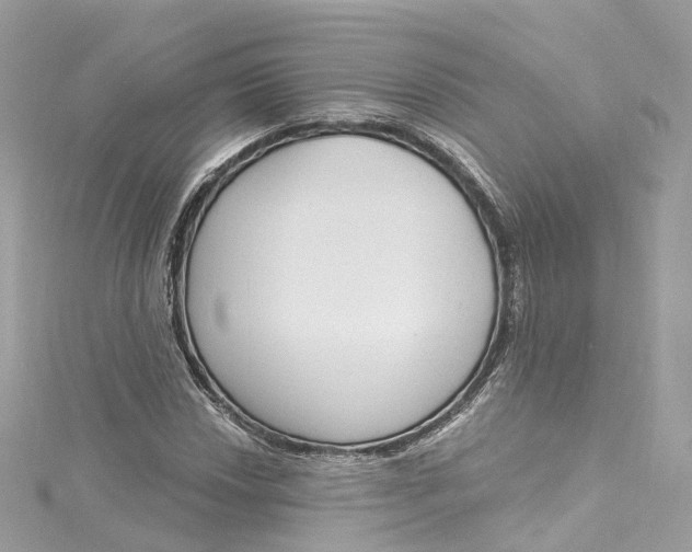 X0000115221018200911181544