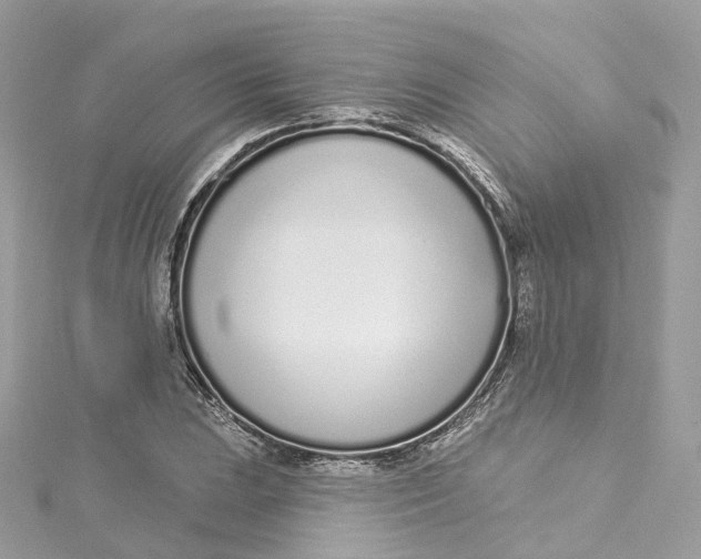 X0000115221023200911181544