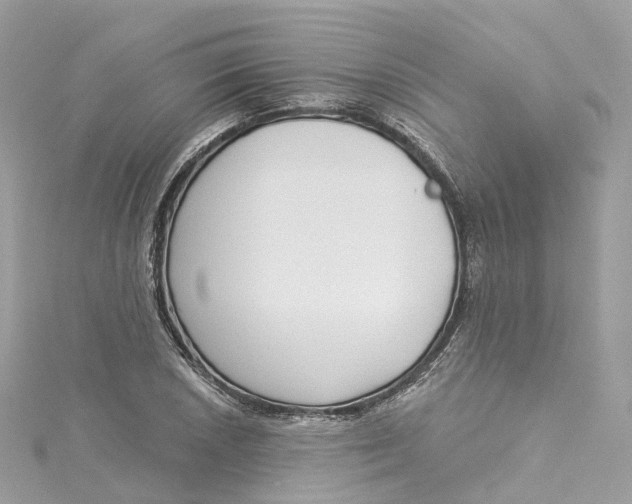 X0000115221026200911181544