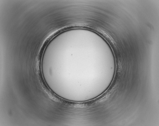 X0000115221029200911181545