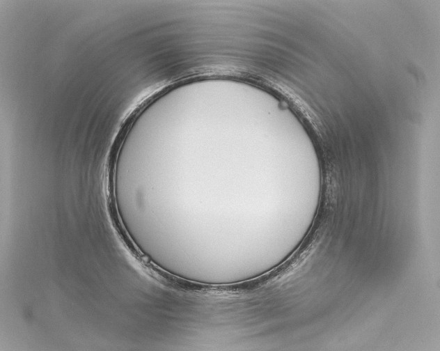 X0000115221034200911181545