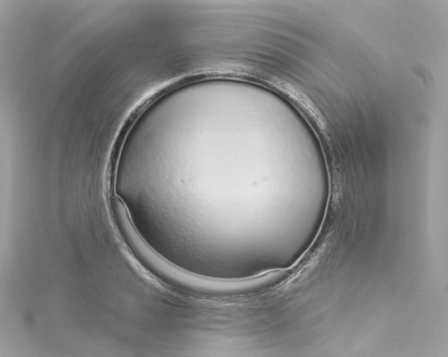 X0000115221037200911181545