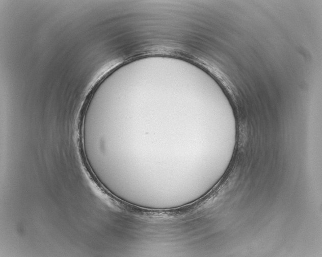 X0000115221042200911181545