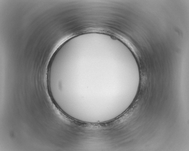X0000115221050200911181545