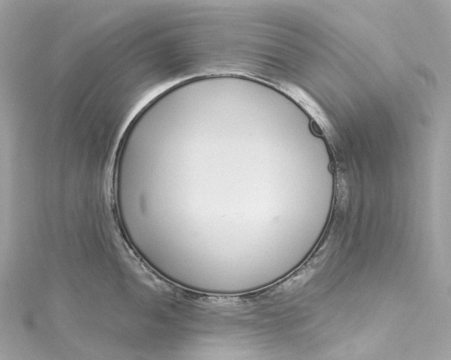 X0000115221052200911181545