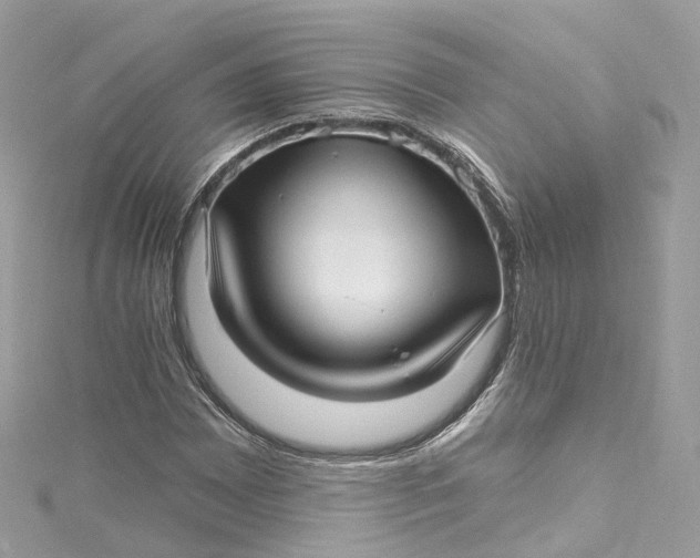 X0000115221065200911181544