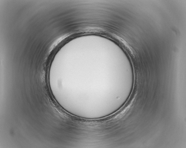 X0000115221066200911181544