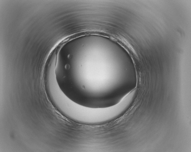 X0000115221068200911181544