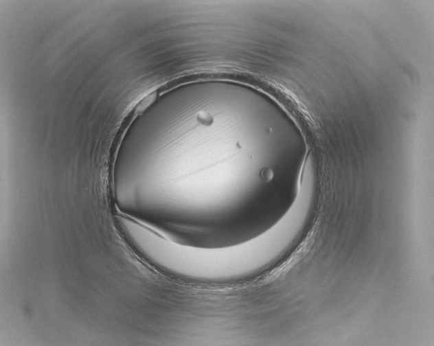 X0000115221073200911181544