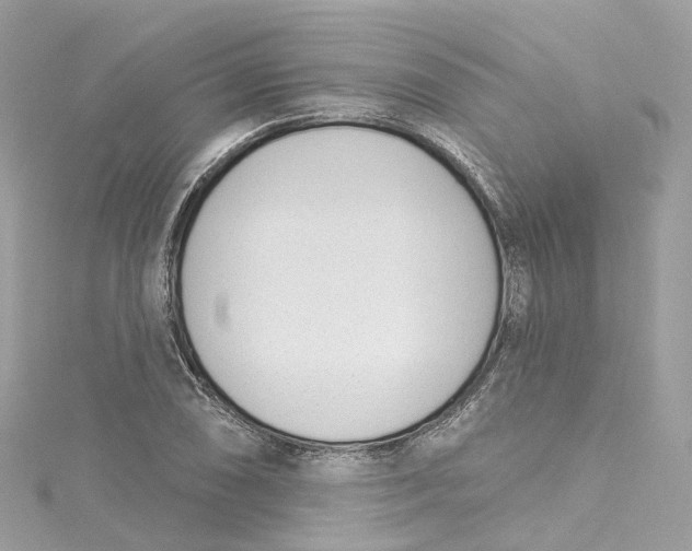 X0000115221074200911181544