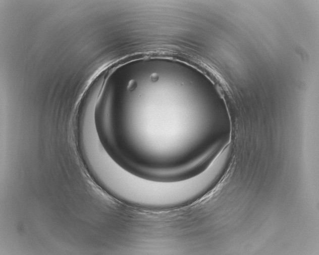 X0000115221075200911181544