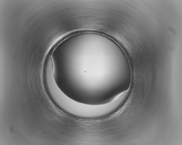 X0000115221077200911181544