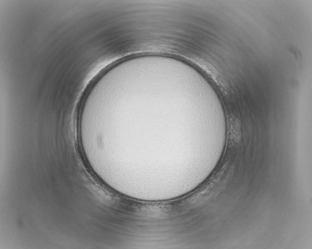 X0000115221078200911181544
