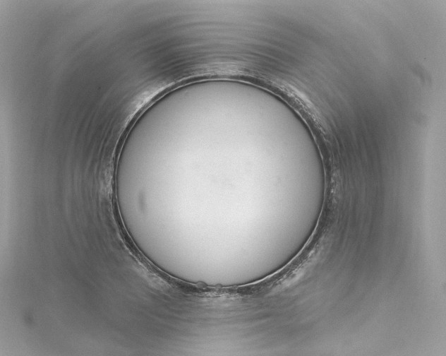 X0000115221081200911181544