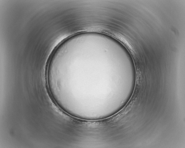 X0000115221087200911181544