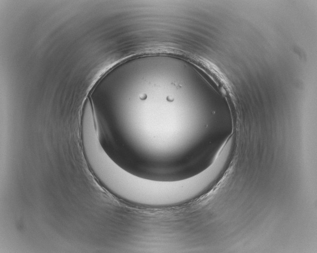 X0000115221089200911181544