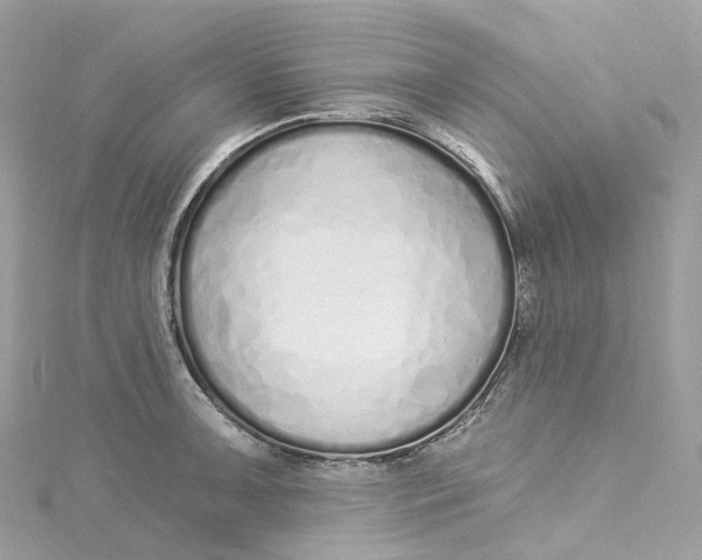 X0000115221091200911181544