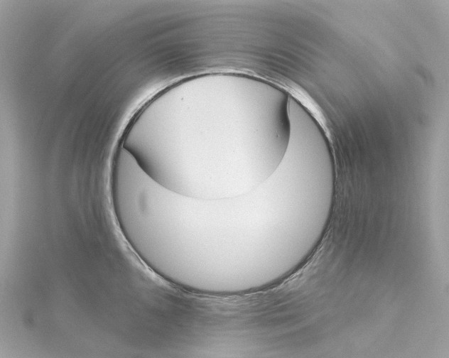X0000115221096200911181544