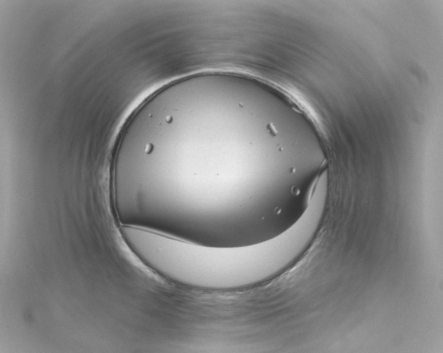X0000115221100200911181544