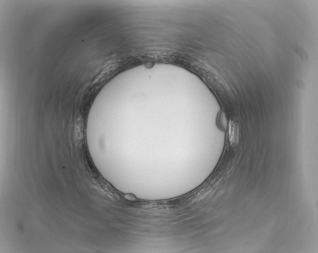 X0000115221107200911181543