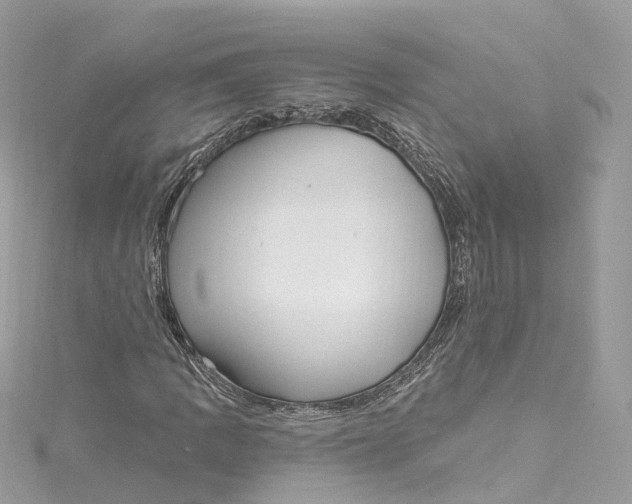 X0000115221109200911181543