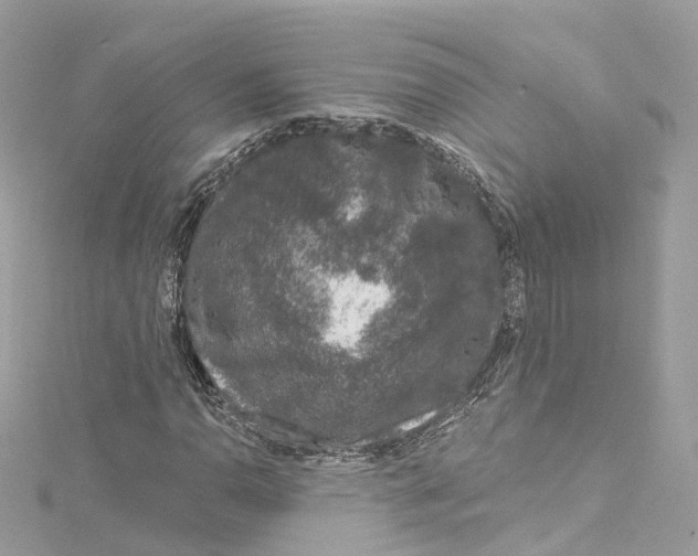 X0000115221110200911181543