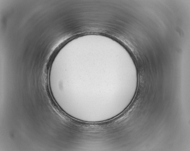 X0000115221119200911181543