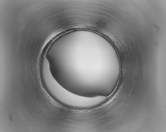 X0000115221122200911181543