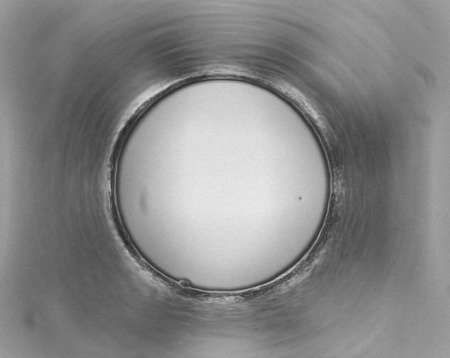 X0000115221133200911181543