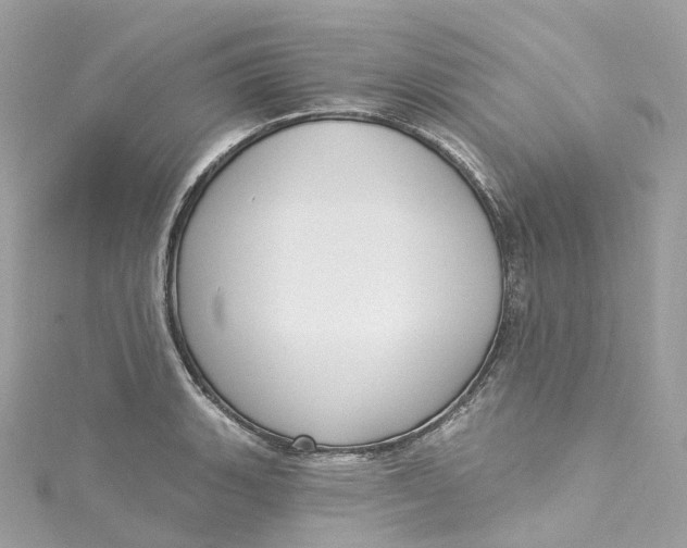 X0000115221135200911181543