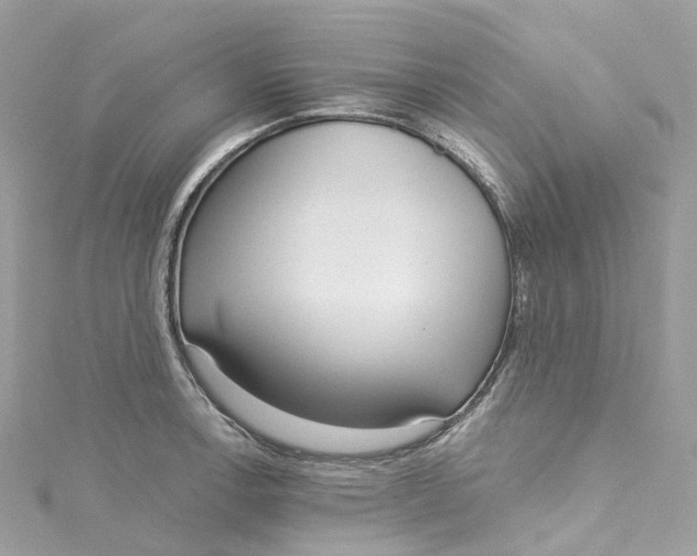 X0000115221138200911181543