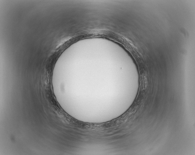 X0000115221158200911181543
