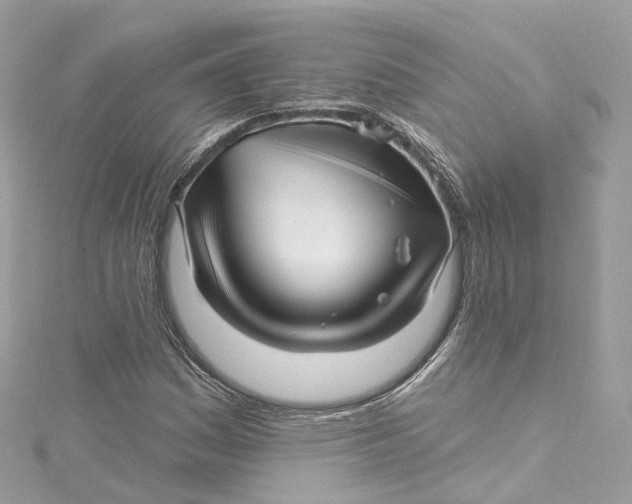 X0000115221161200911181543