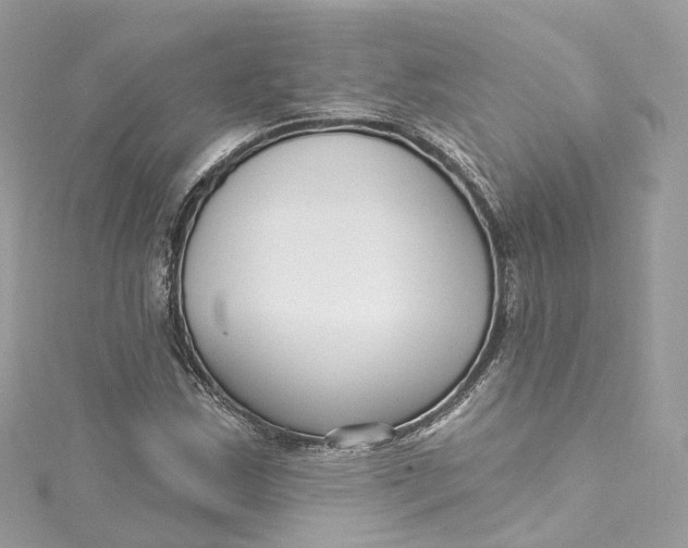 X0000115221163200911181543