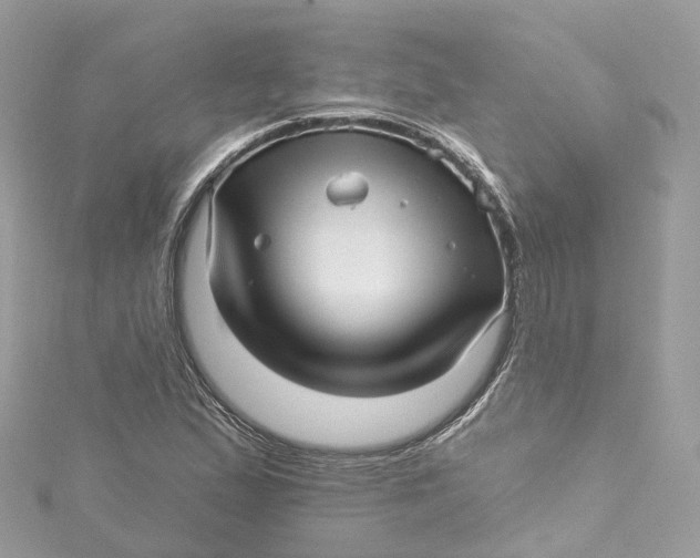 X0000115221167200911181543