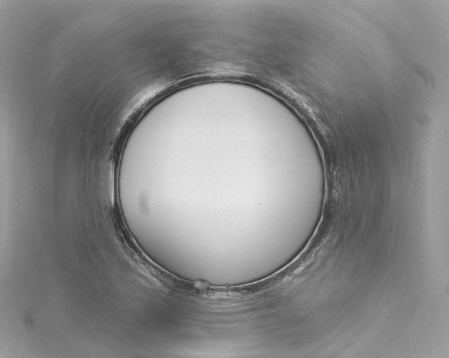 X0000115221171200911181543