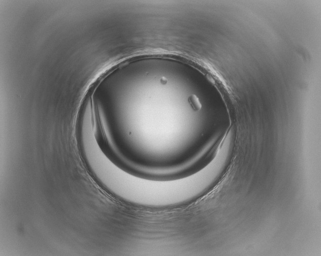 X0000115221173200911181543