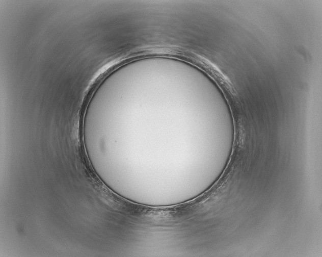 X0000115221174200911181543