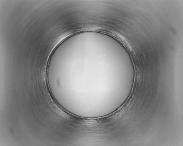 X0000115221186200911181543