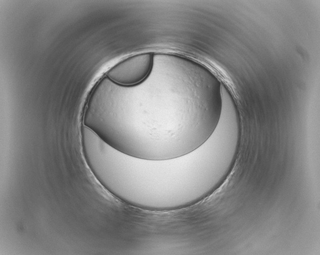 X0000115221192200911181542