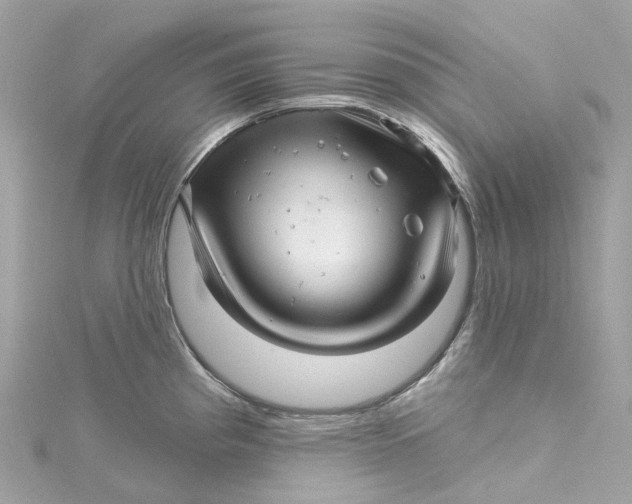 X0000115221193200911181542