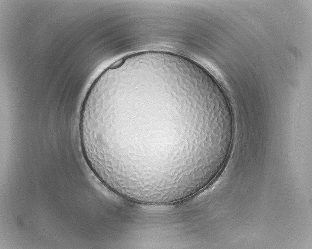 X0000115221200200911181542