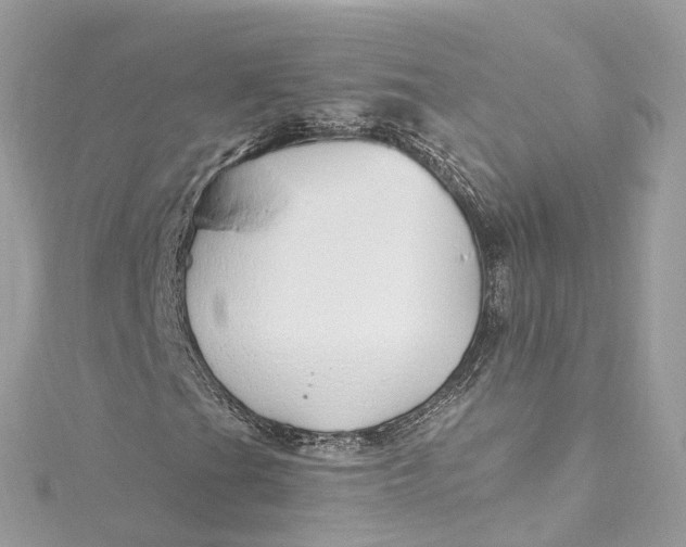 X0000115221201200911181542