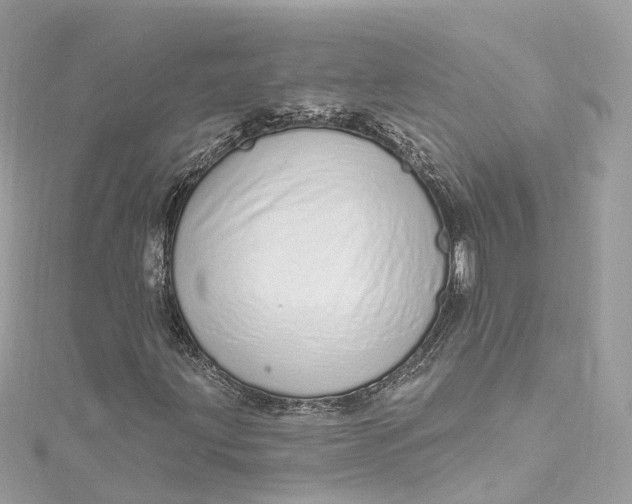 X0000115221203200911181542